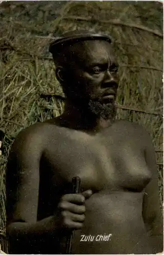 Zulu Chief -97638