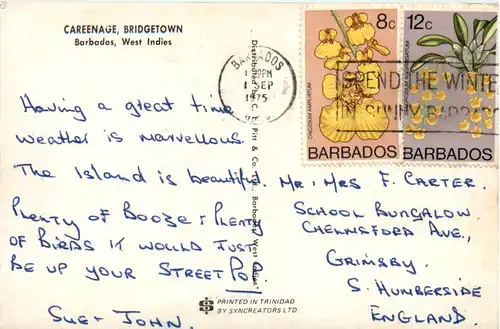 Barbados - Careenage Bridgetown -101364