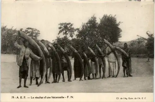 Le resultat d une hecatombe -98492