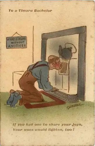 Humor - To a Timaru Bachelor - New Zealand -97872