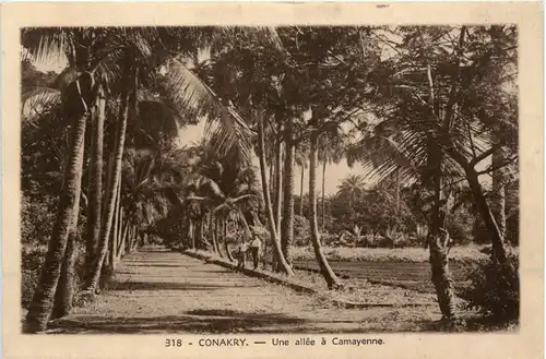 Conakry - Une allee a Camayenne -98568