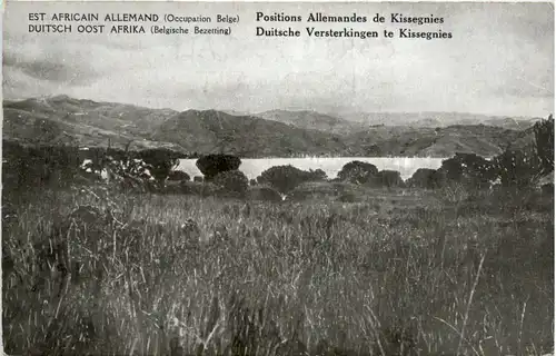 Deutsch Ost Afrika - Occupation Belge -98498
