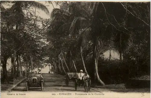 Guinee - Promenade de la Corniche -98126