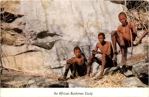 African Bushmen Study - Zimbabwe -98092