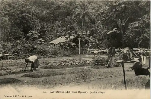 Lastoursville Ogooue - Jardin potager -99192