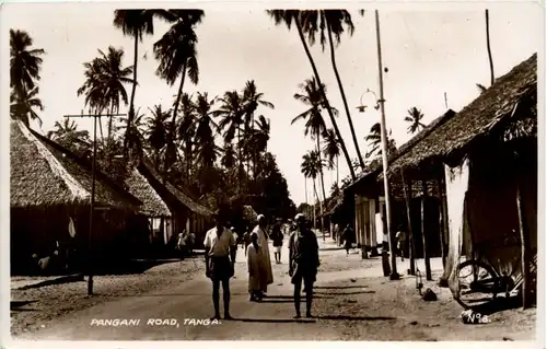 Tanga - Pangani Road -98978
