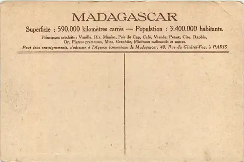 Madagascar - Autruches -99388