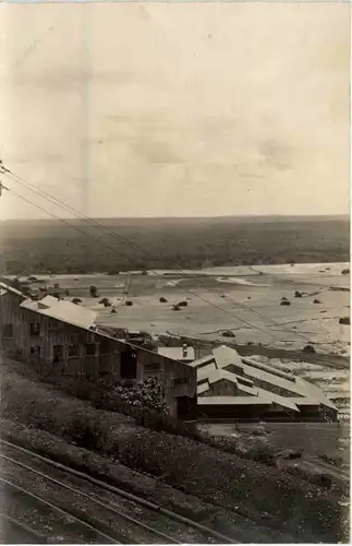 Congo Belge - Panda -99488