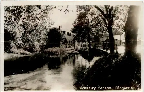 Bickerley Stream - Ringwood -96986