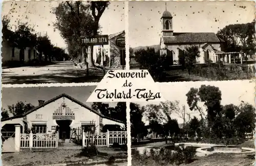 Maroc - Souvenir de Trolard-Taza -434344