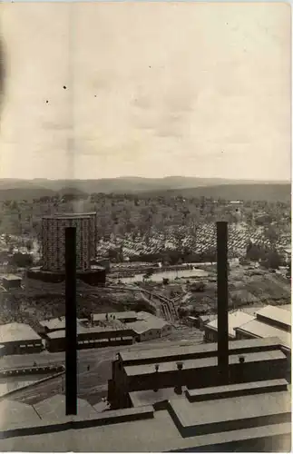 Congo Belge - Panda -99478