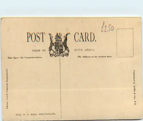 Cape Peninsula - Rondebosch -99668