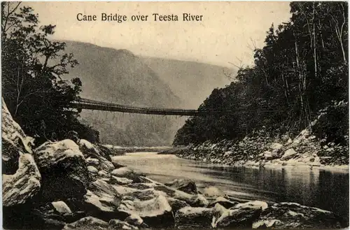 Cane Bridge over Testa River - India -99772