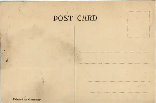 Cane Bridge over Testa River - India -99772