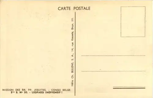 Congo Belge - Leopard inoffensif -98910