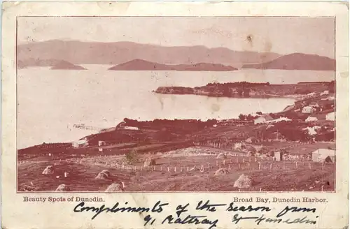 Dunedin Harbour - Broad Bay - New Zealand -97356