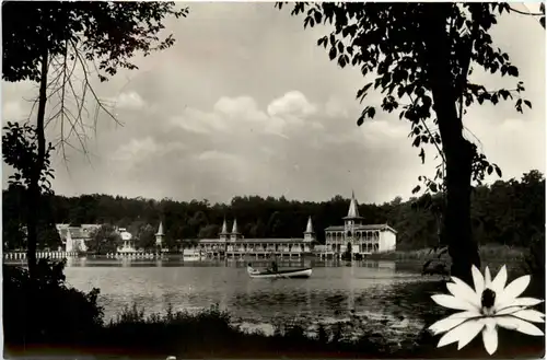 Heviz-Gyogyfürdö -99908