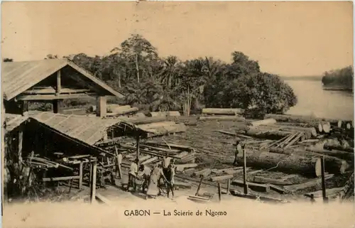 La Scierie de Ngomo - Gabon -98784