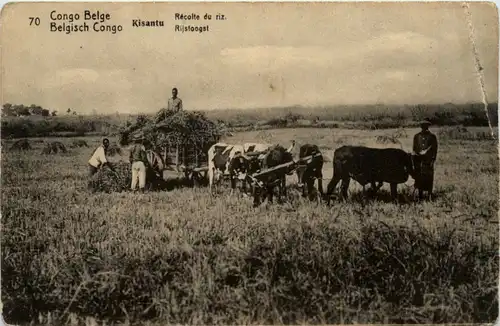 Congo - Kisantu - Ganzsache -99462