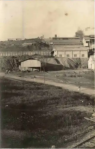 Congo Belge - Panda -99482