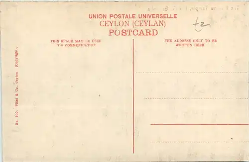 Colombo - Pettah - Hindoo Temple -99530