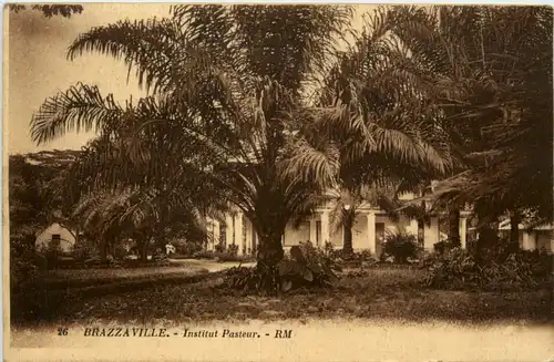 Brazzaville - Institut Pasteur -97730