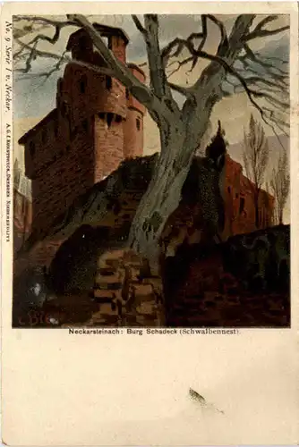 Neckarsteinach - Burg Schadeck - Litho -99546