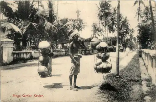 Ceylon - Pingo Carrier -99782