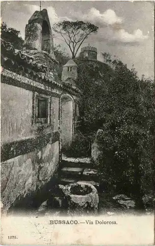 Bussaco - Via Dolorosa -99670