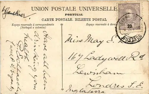 Bussaco - Via Dolorosa -99670