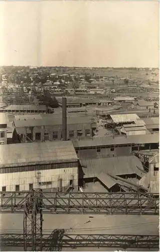 Congo Belge - Panda -99484