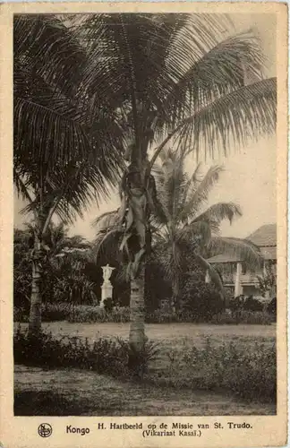 Kongo - St. Trudo -98500
