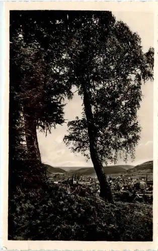 Blick auf Heiligenstadt/Eichsfeld -372396