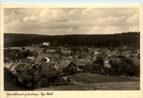 Finsterbergen, Thür. Wald -372536