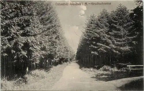 Ostseebad Arendsee, Hirschschneese -372030