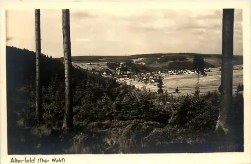 Altenfeld, Thür.Wald -356004