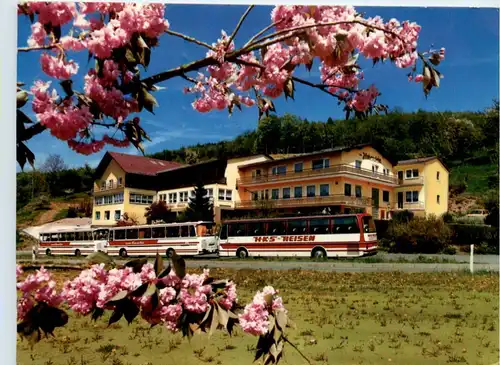 Reichelsheim/Ober-Kainsbach im Odenwald, Gasthaus Zum Hohenstein -373046