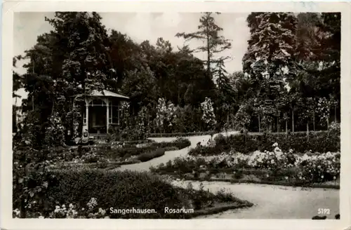 Sangerhausen, Rosarium -372314