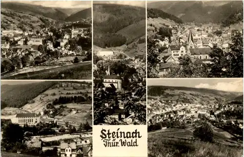 Steinach Thür.Wald, div. Bilder -372632