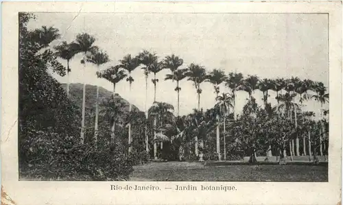 Rio de Janeiro - Jardin botanique -435620