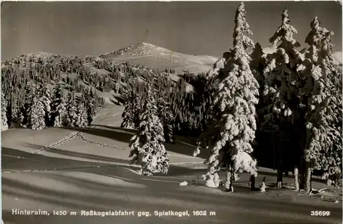 Hinteralm, Rosskogelabfahrt geg. SpielkogelBruck- -374664