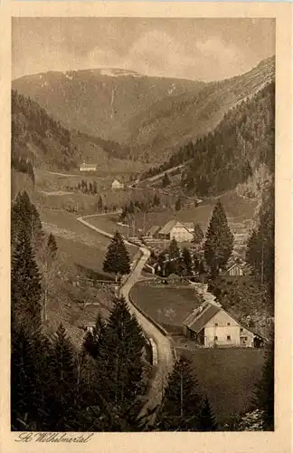 Feldberg,Schwarzwald, St. Wilhelmertal -374594