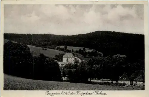 Berggiesshübel -455568