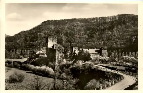 Schloss Langenau bei Oberhof a.d.Lahn -455314