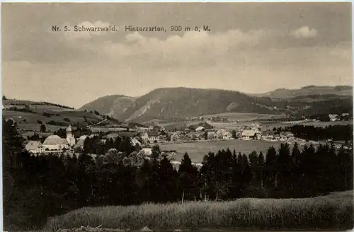 Schwatzwald, Hinterzarten -455724