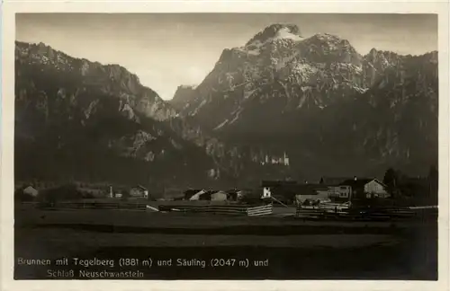 Brunnen mit Tegelberg und Säuling -455526