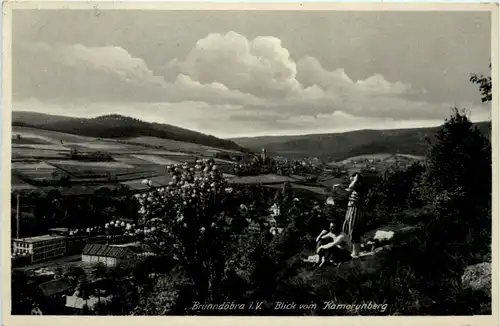 Brunndöbra i.V., Blick vom Kamerunberg -455582