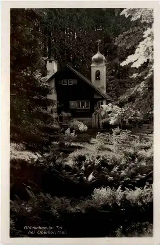 Glöckchen im Tal, bei oberhof -456528