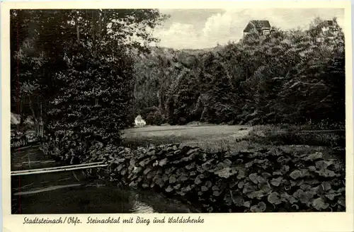 Stadtsteinach, Steinachtal mit Burg und Waldschenke -455660