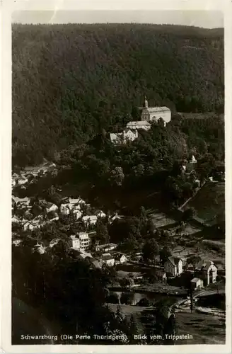 Schwarzburg, Blick vom Trippstein -455786